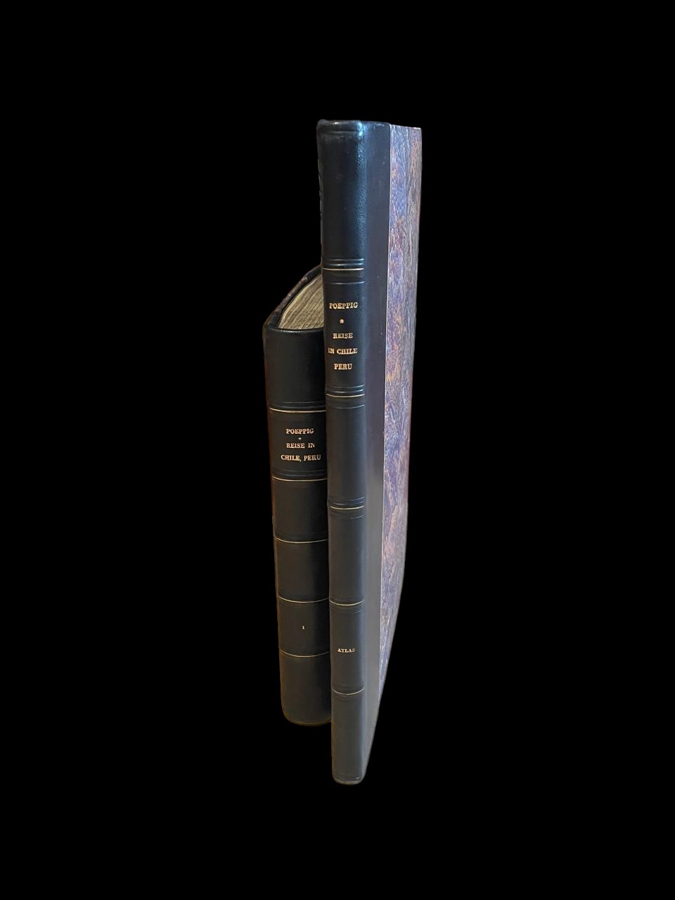 Eduard Poeppig 	Atlas zu Eduard Poeppig's Reise in Chile, Peru, und auf dem Amazonenstrome Atlas y  texto Reise in Chile, Peru und auf dem Amazonenstrome während der Jahre 1827-1832