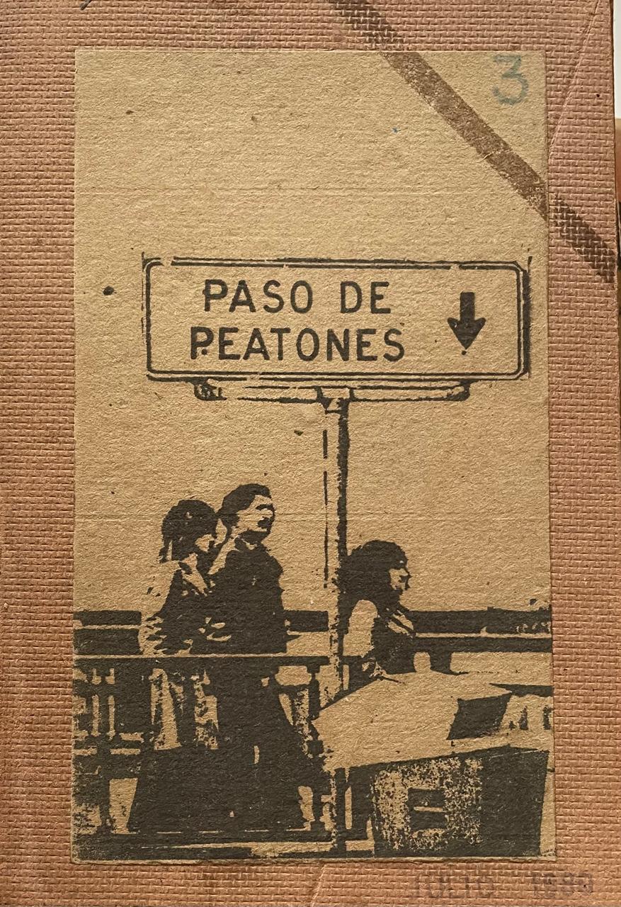 Gabriel Macotela (realización; Yani Pecanins, asistente	Paso de Peatones Nº3