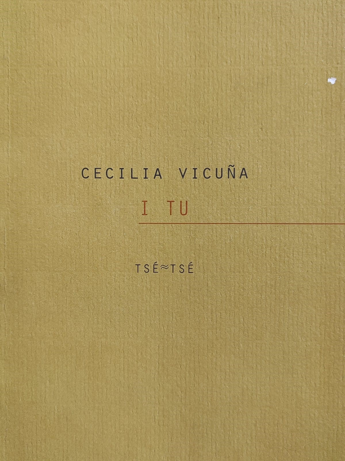 Cecilia Vicuña	i tu 