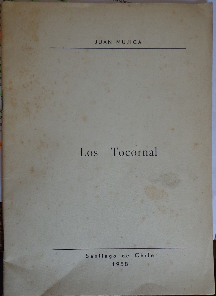 Juan Mujica. Los Tocornal