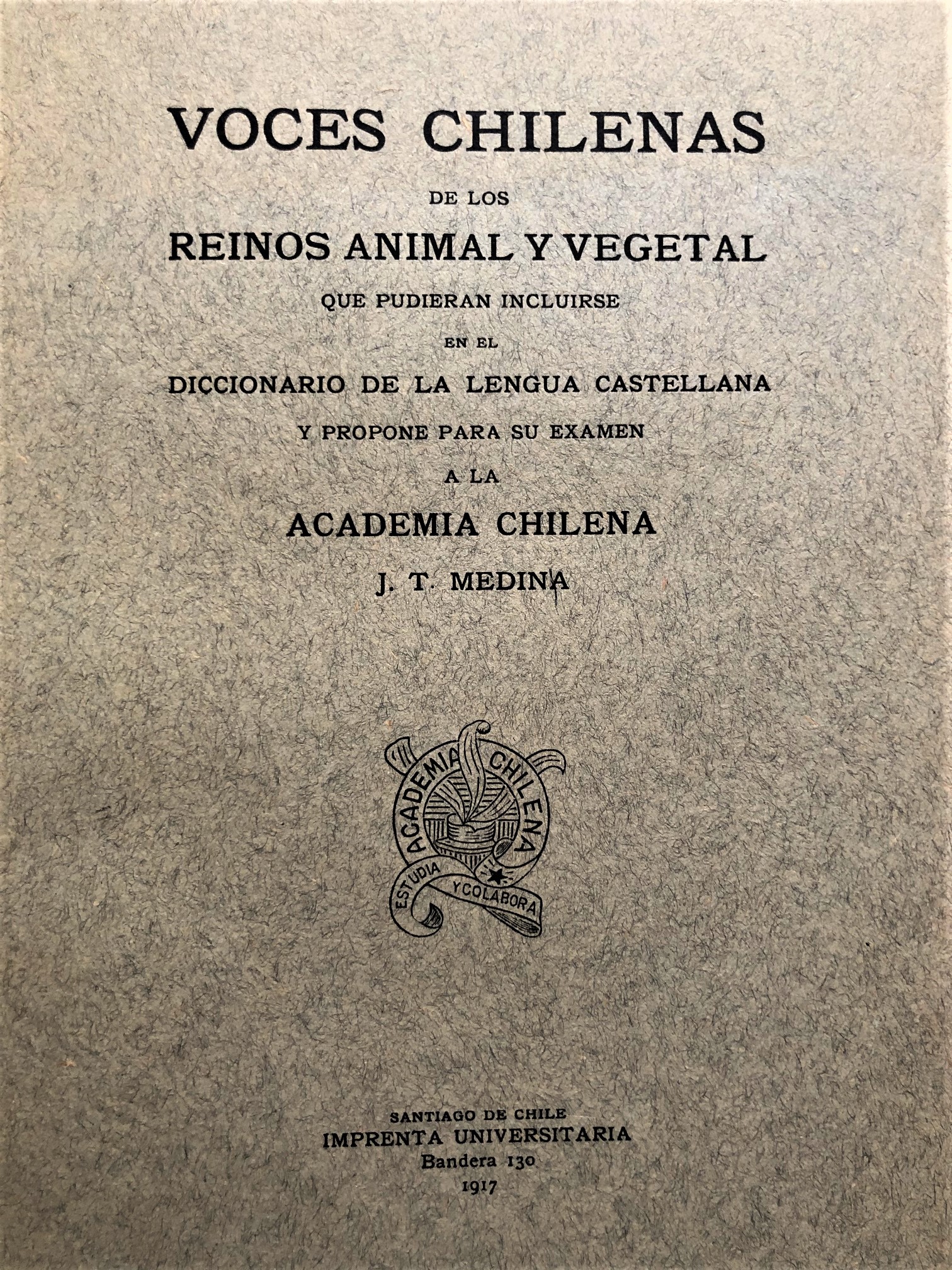J. T. Medina - Voces chilenas de los reinos animal y vegetal