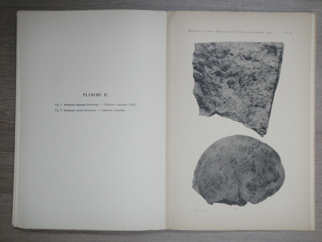Georges Courty - Explorations Geologiques Dans L'Amerique Du Sud: Suivi de Tableaux Meteorologiques
