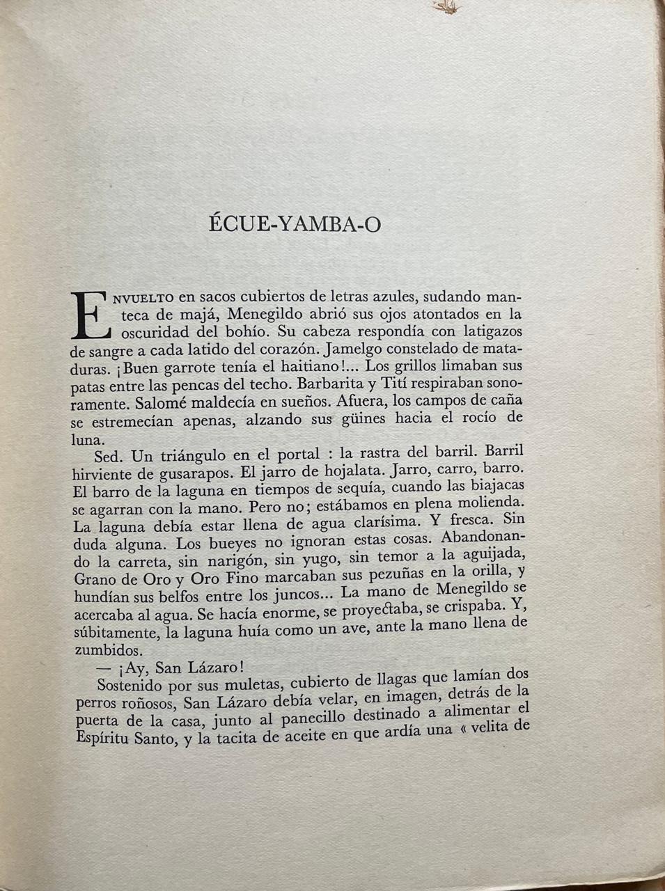 Elvira de Alvear (Directora)	Imán 
