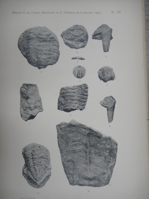 Georges Courty - Explorations Geologiques Dans L'Amerique Du Sud: Suivi de Tableaux Meteorologiques