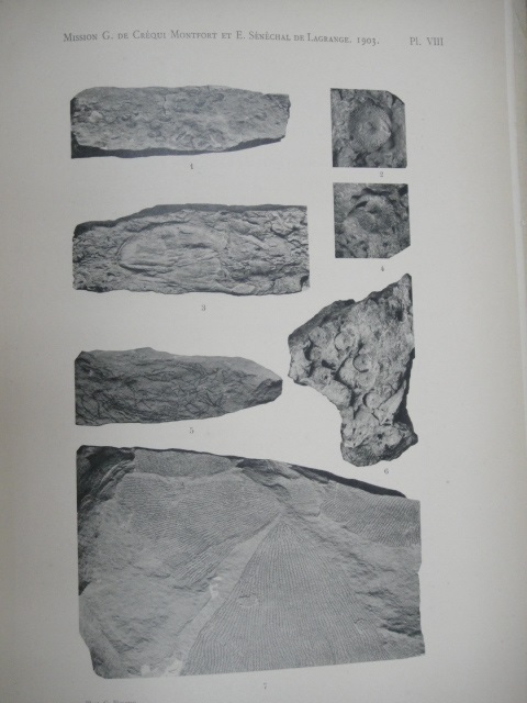 Georges Courty - Explorations Geologiques Dans L'Amerique Du Sud: Suivi de Tableaux Meteorologiques