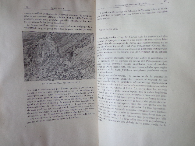 Carlos Riuz - Posibilidades mineras de Aysen 