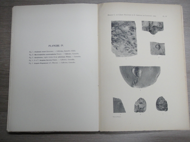 Georges Courty - Explorations Geologiques Dans L'Amerique Du Sud: Suivi de Tableaux Meteorologiques
