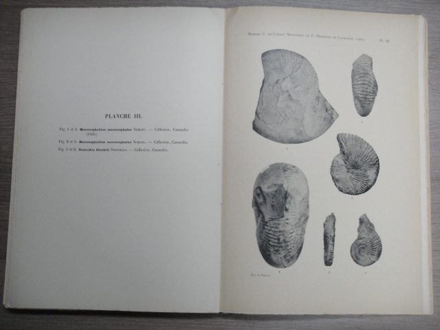 Georges Courty - Explorations Geologiques Dans L'Amerique Du Sud: Suivi de Tableaux Meteorologiques