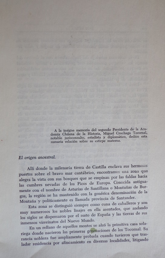 Juan Mujica. Los Tocornal